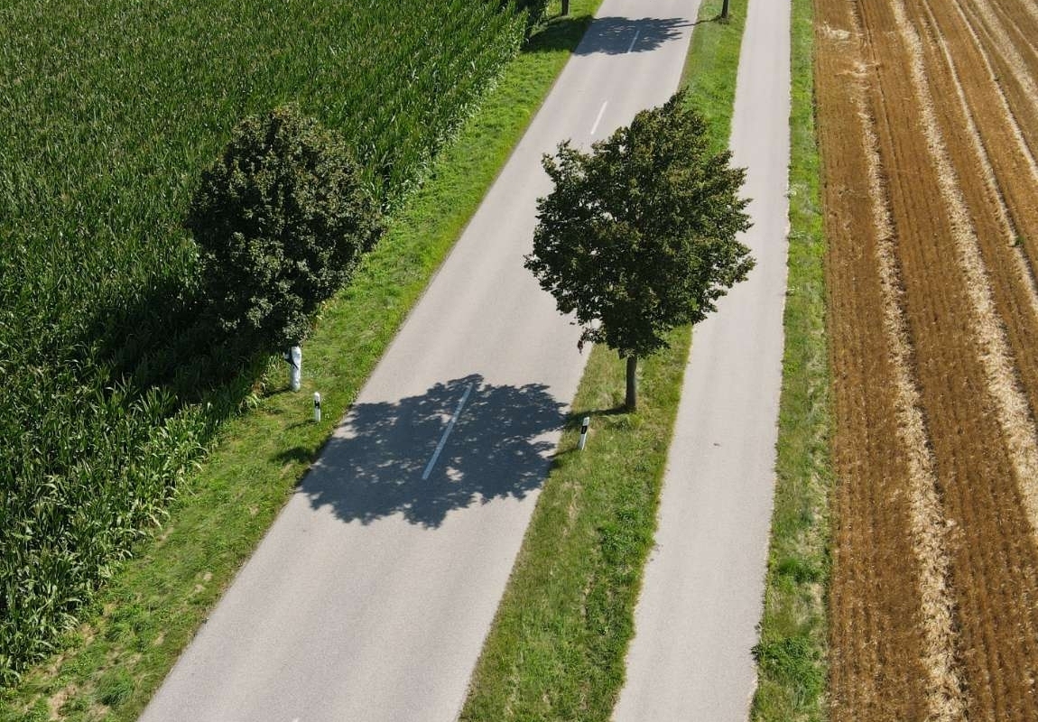 LG Mettenheim Drohnenaufnahme Allee