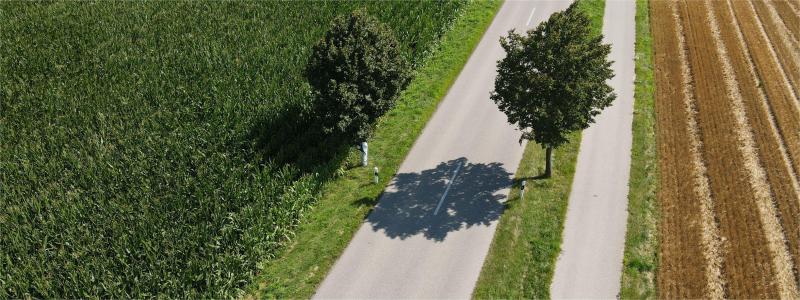 Header LG Mettenheim