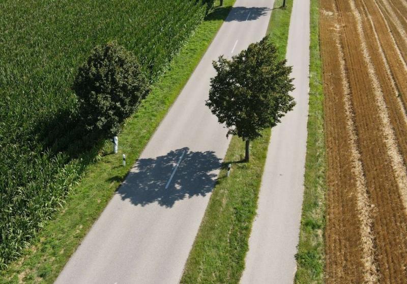 LG Mettenheim Drohnenaufnahme Allee
