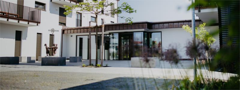 Zahn Zauberei_Fotoshooting_limet_toeging