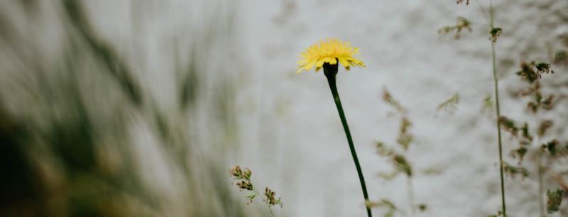 Büro limet 200511 23 2x