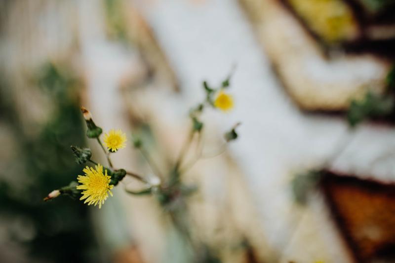 limet Webdesign Töging